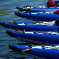 Kayaks are available for use onboard all Cascadia adventures | Jeff Reynolds