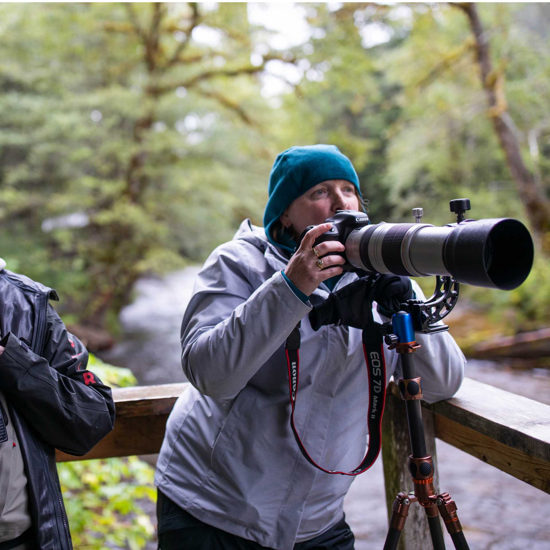 Photographic opportunities abound