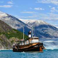 Swell in Endicott Arm, Alaska
