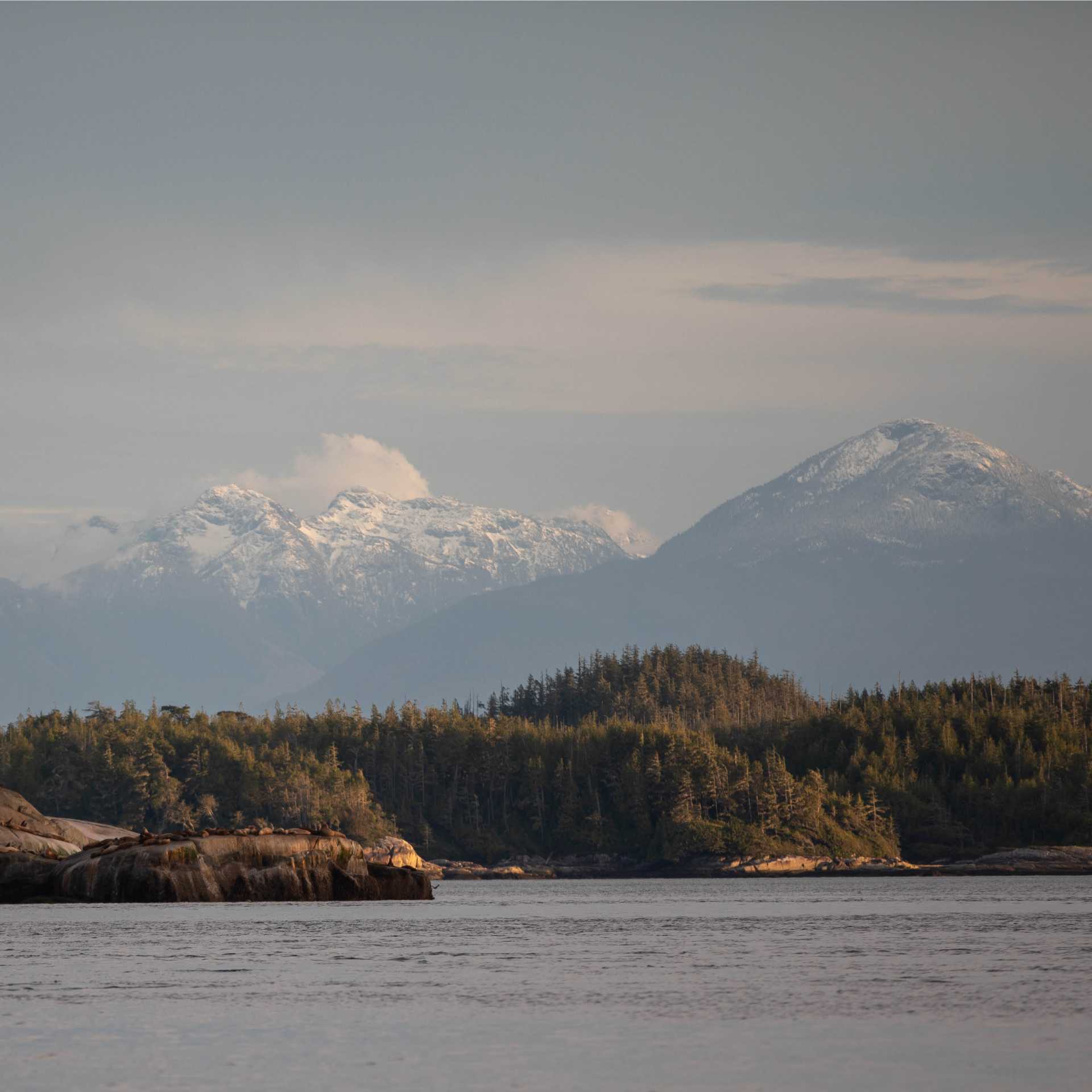 Mountainous surroundings in Desolation Sound