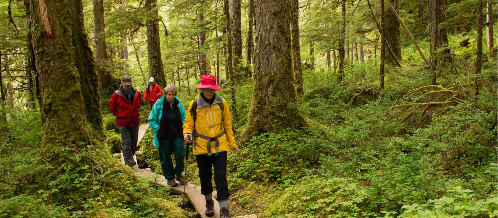 Hiking in Alaska's Inside Passage | Tavish Campbell