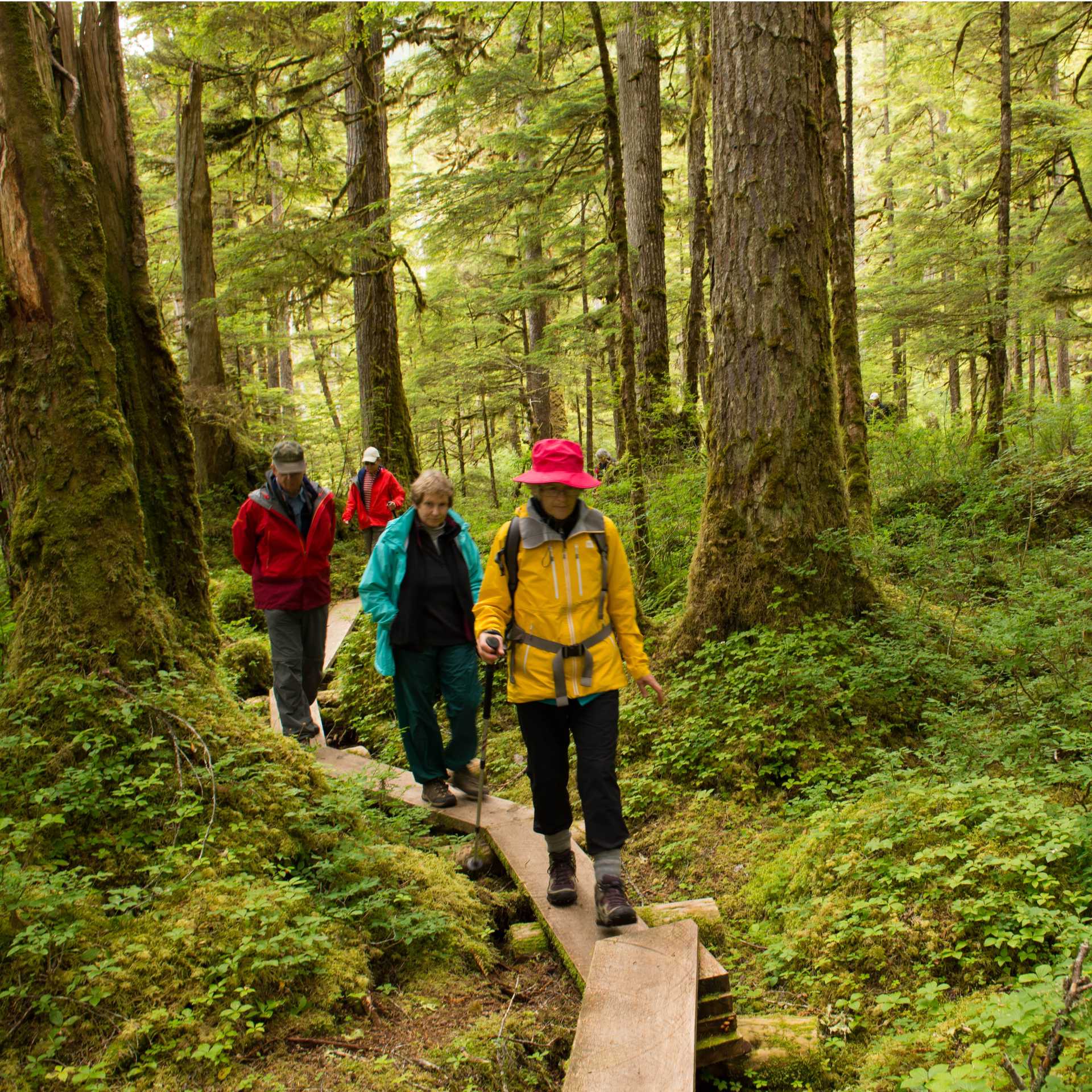 Hiking in Alaska's Inside Passage | Tavish Campbell