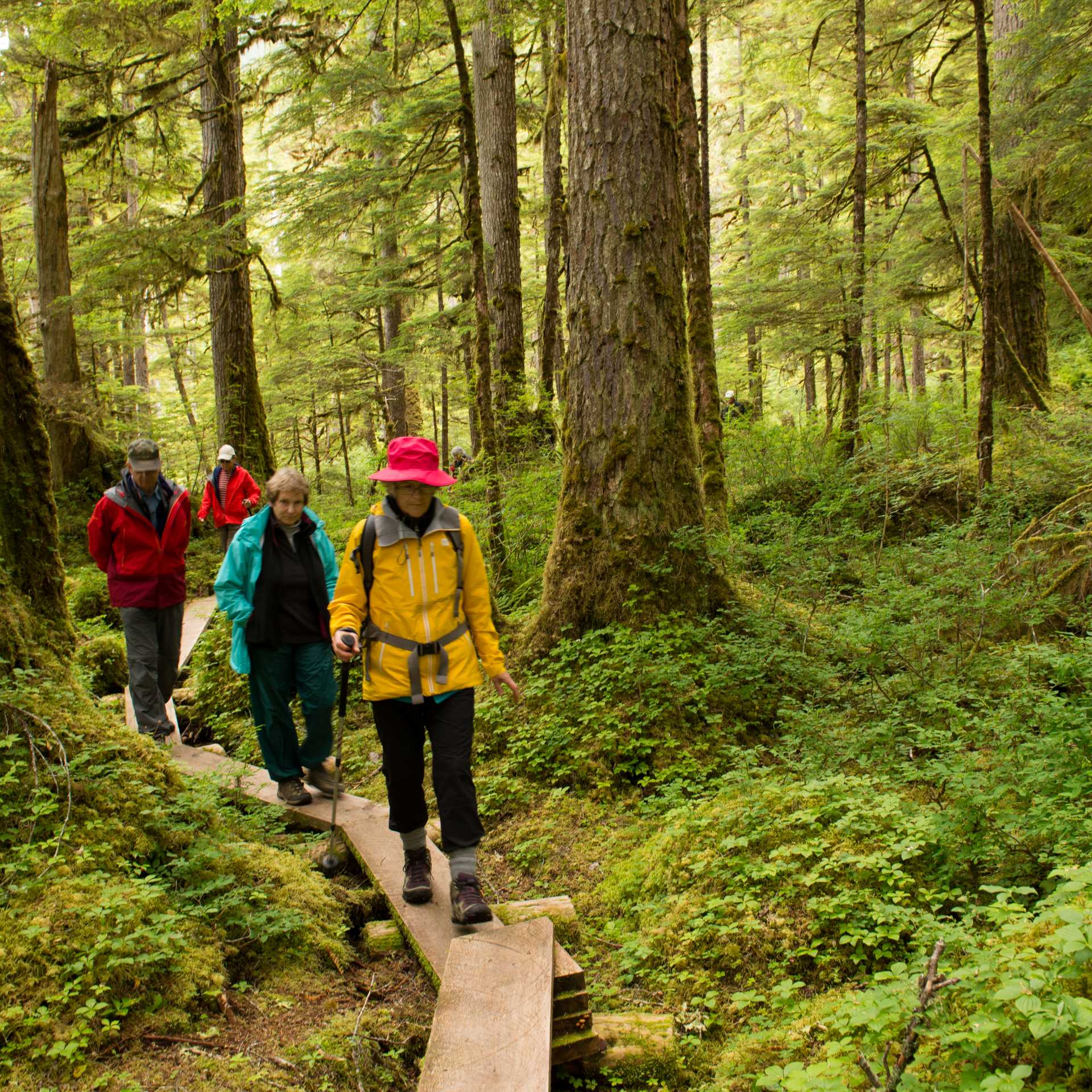Hiking in Alaska's Inside Passage | Tavish Campbell