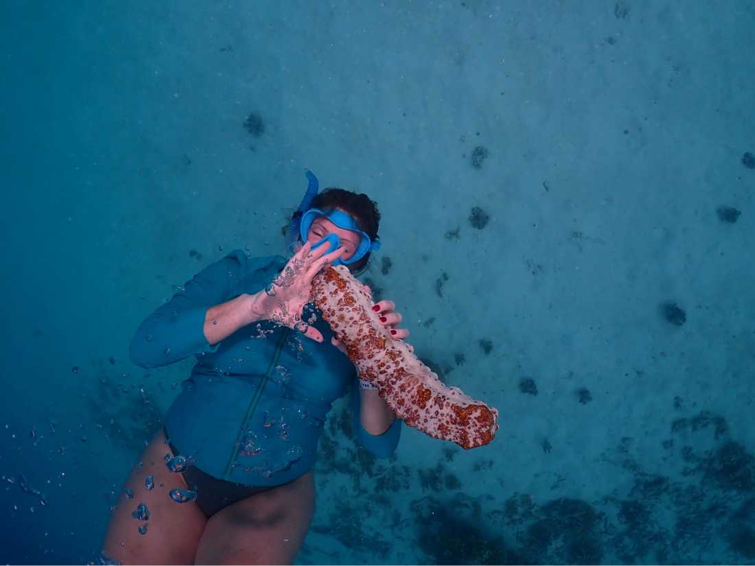 Witness incredible marine life deep in the waters of Palau |  Mac