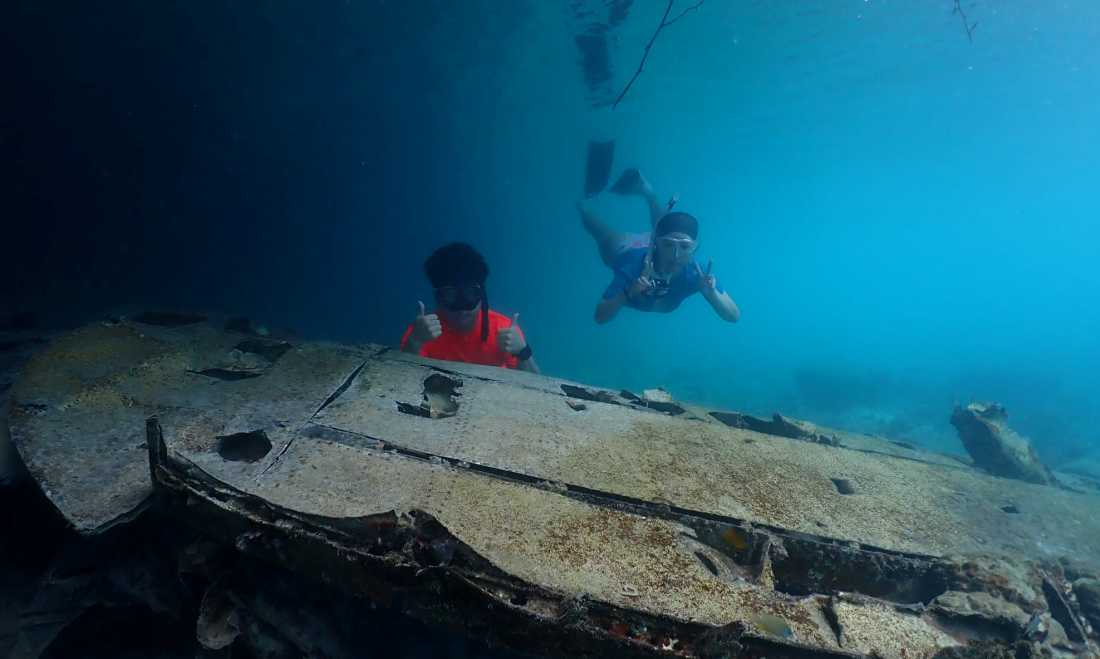 Witness incredible marine life deep in the waters of Palau | Mac