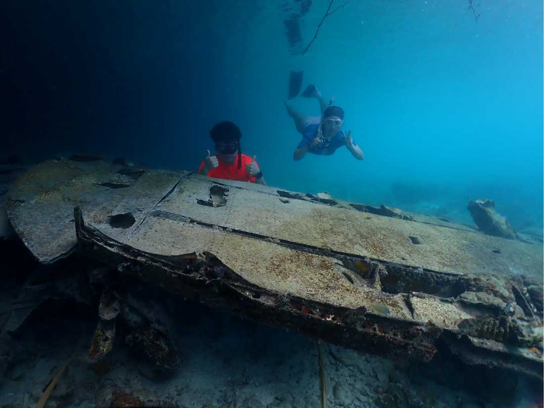 Witness incredible marine life deep in the waters of Palau |  Mac