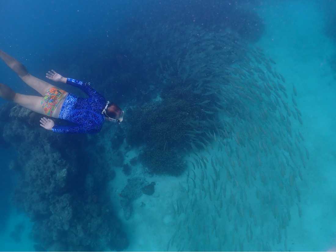Enjoy plenty of activities and inclusions on a fully supported expedition in Palau |  Mac