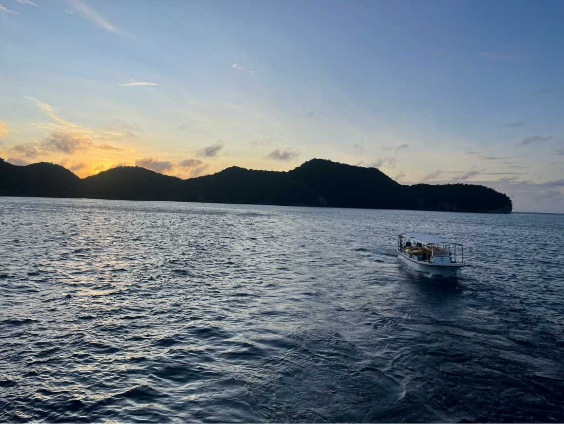 Exploring the islands of Palau |  Pam Dewar