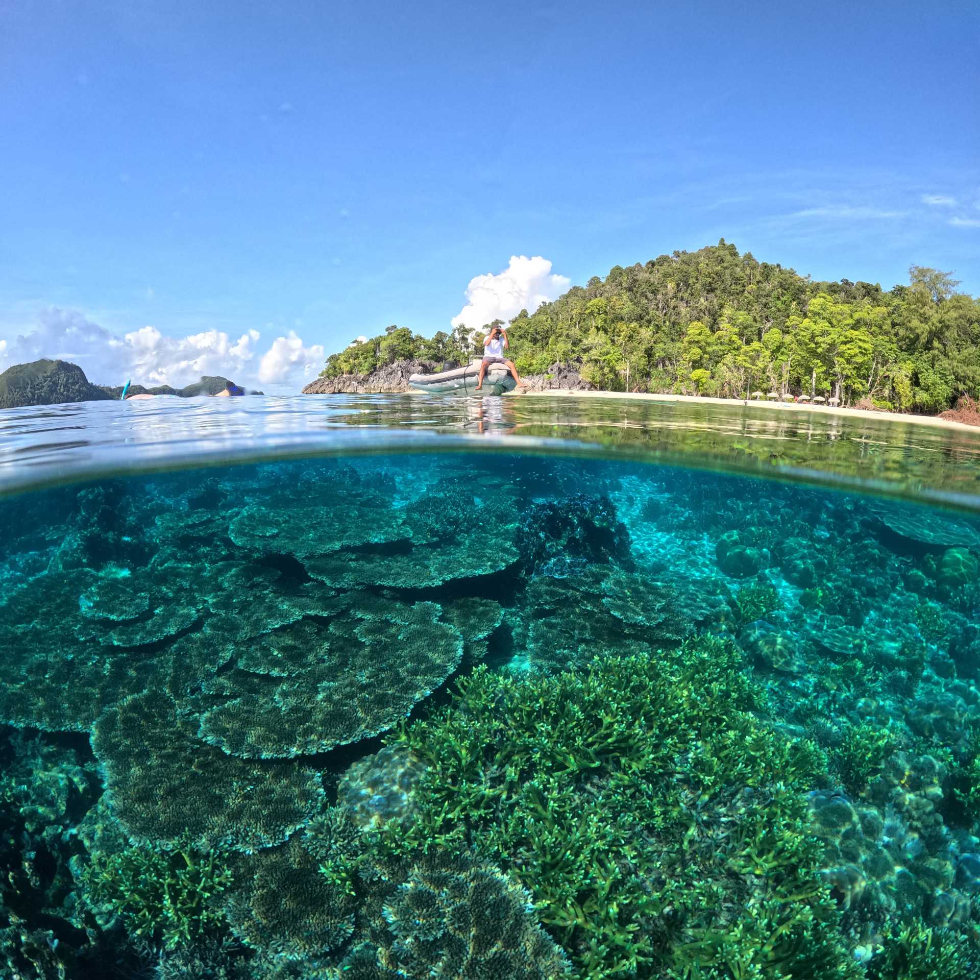 The beauty of Raja Ampat both above and below the water