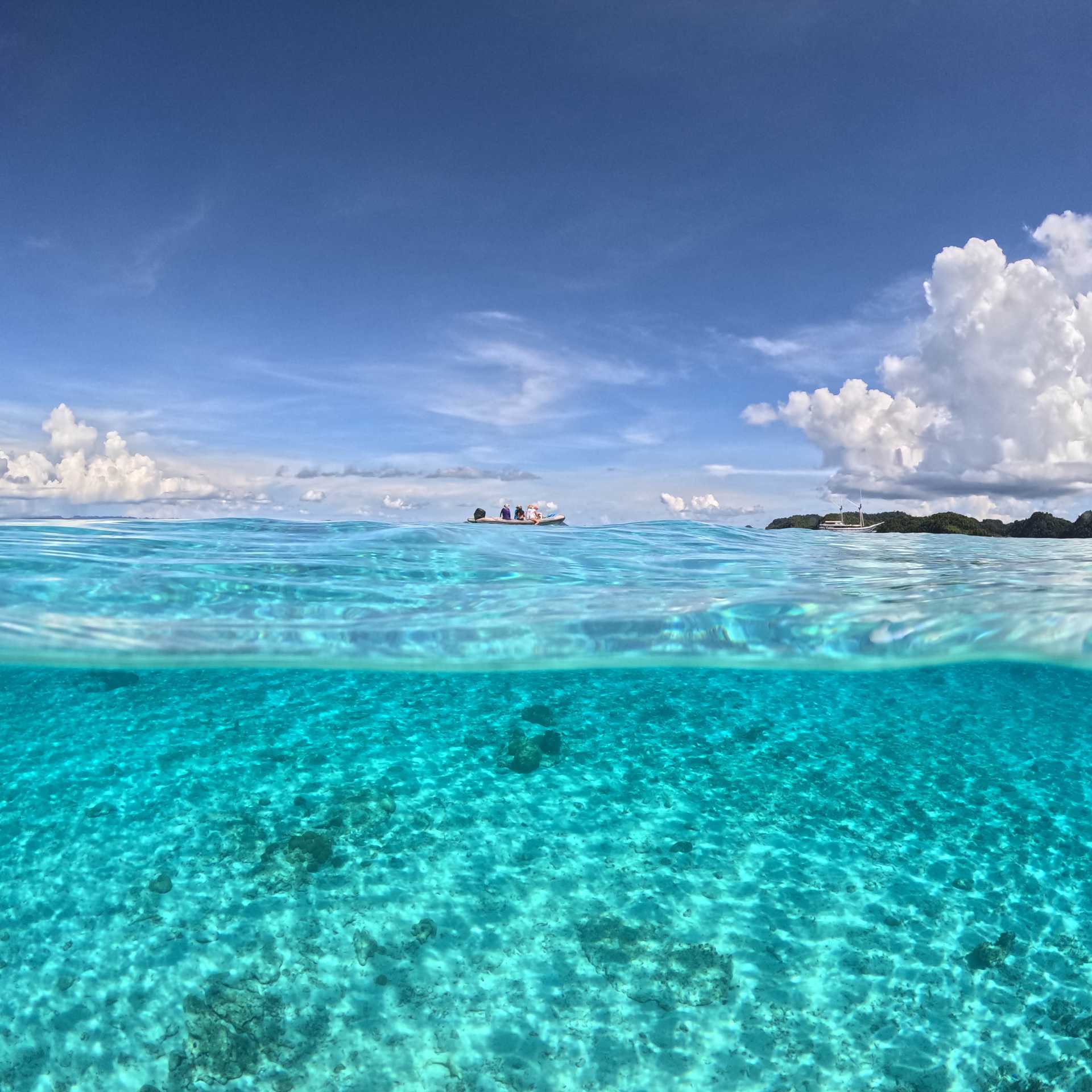 The incredible colours of Raja Ampat