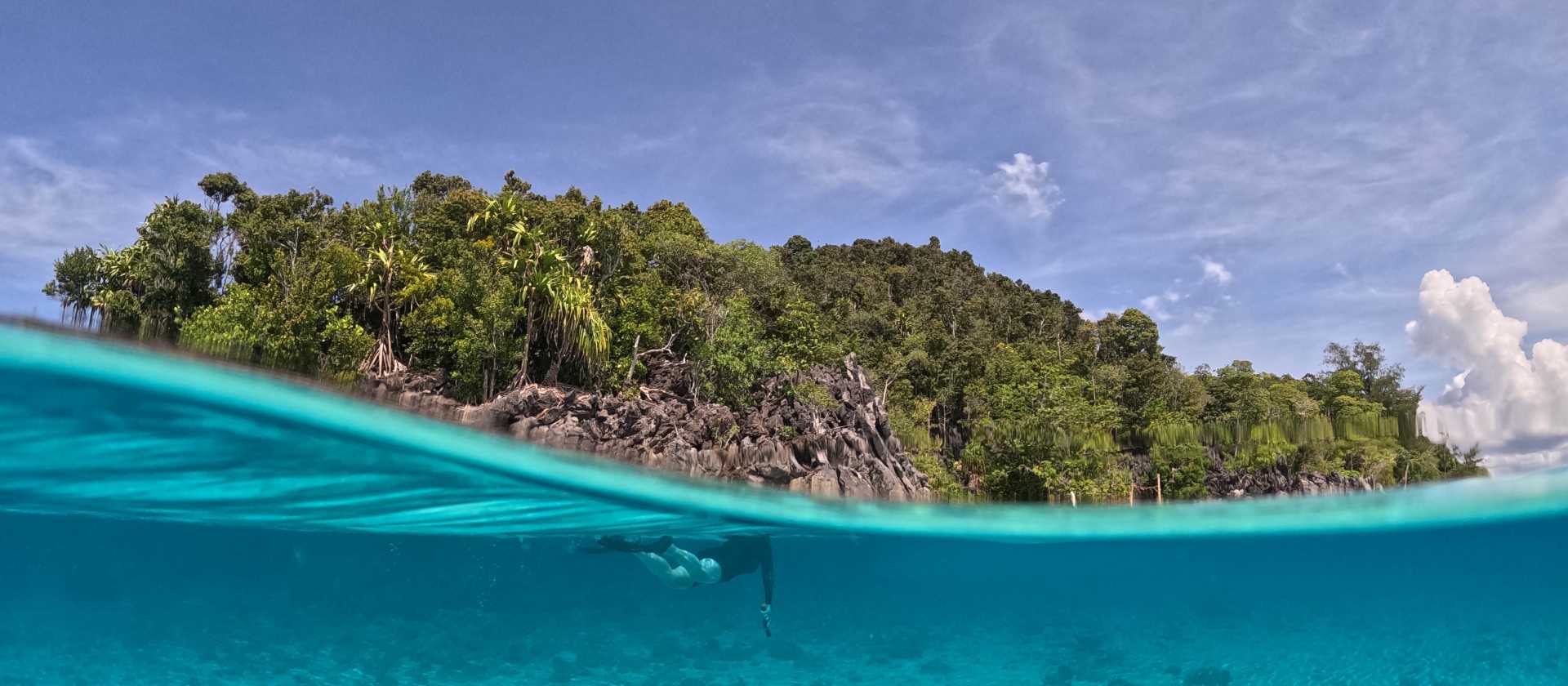 The incredible colours of Raja Ampat
