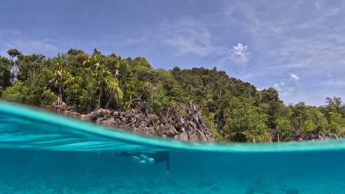 The incredible colours of Raja Ampat