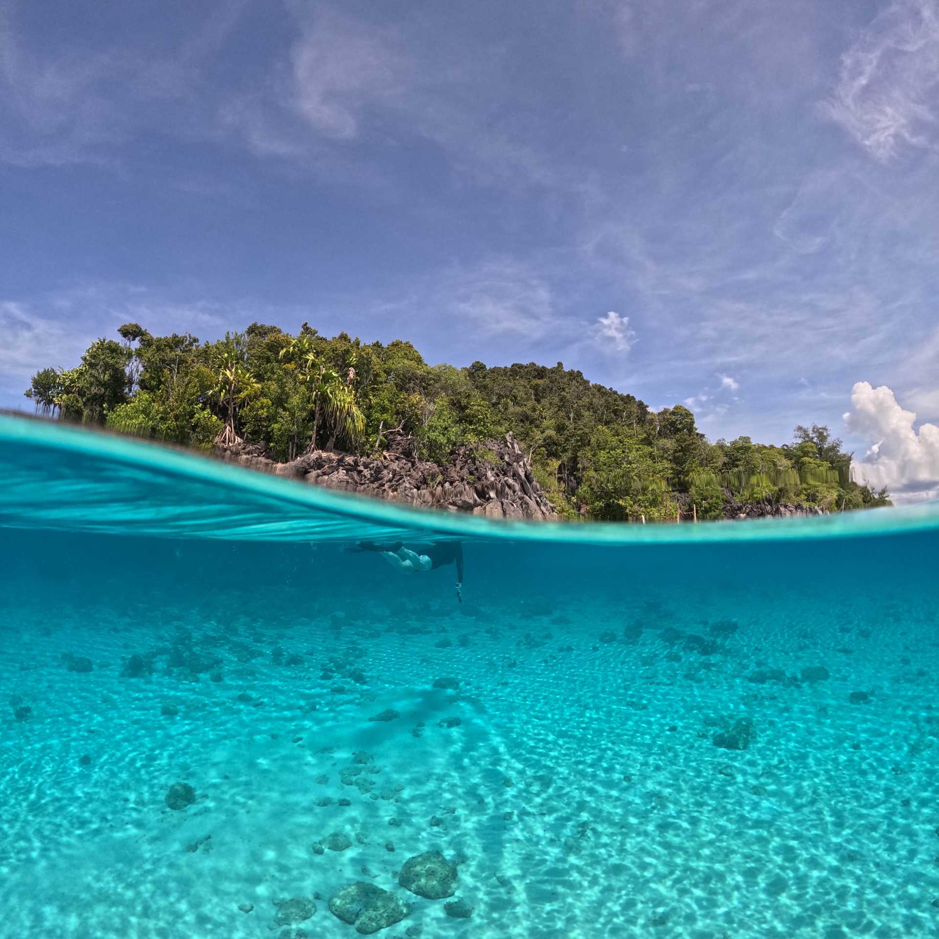 The incredible colours of Raja Ampat