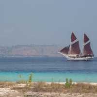 Far Distance Katharina