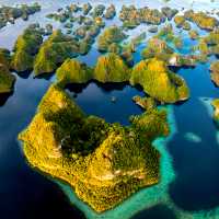 The incredible landscape of Raja Ampat | George Karbus Photography