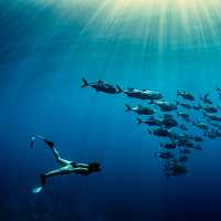 Snorkelling in Raja Ampat | George Karbus Photography