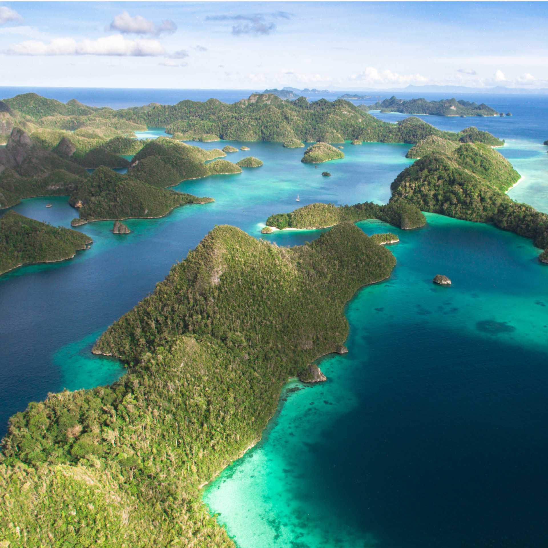 Misool Island, Raja Ampat