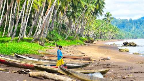 Local life in the Maluku Islands