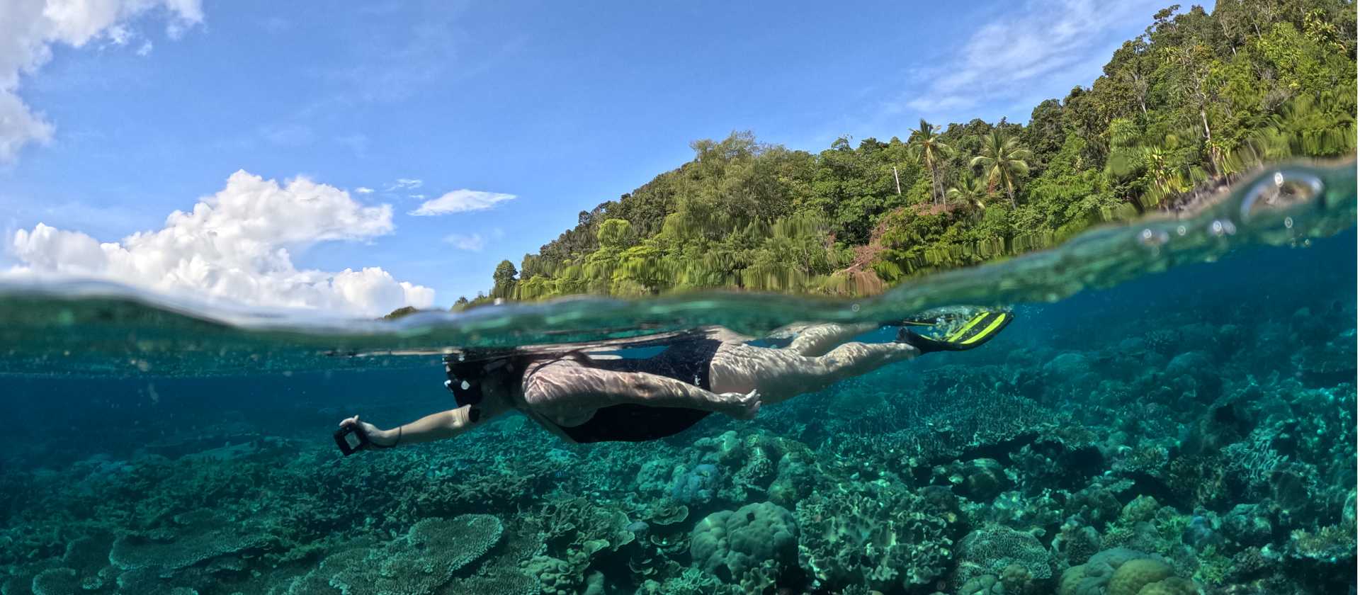 Snorkelling the pristine coral gardens of Raja Ampat
