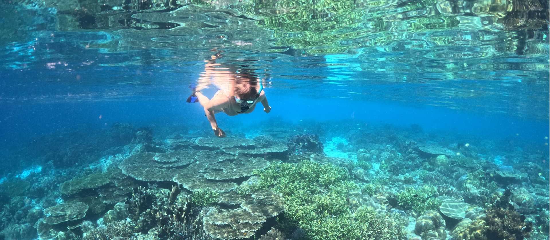 Snorkelling the pristine coral gardens of Raja Ampat
