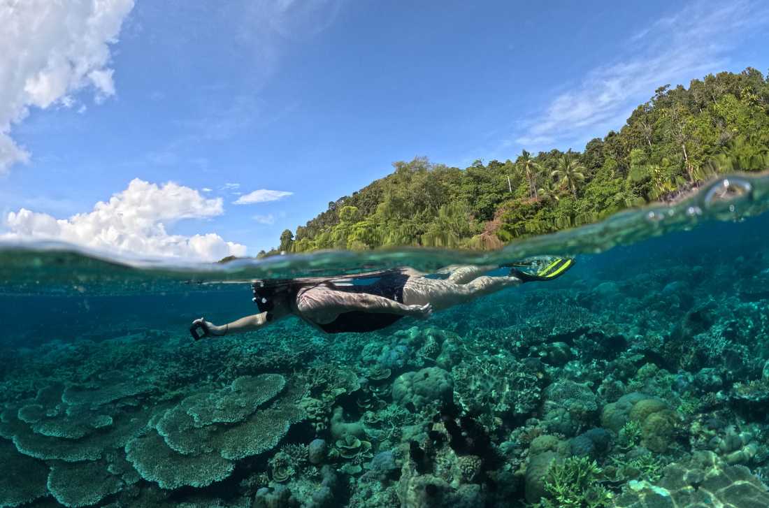 Snorkelling the pristine coral gardens of Raja Ampat