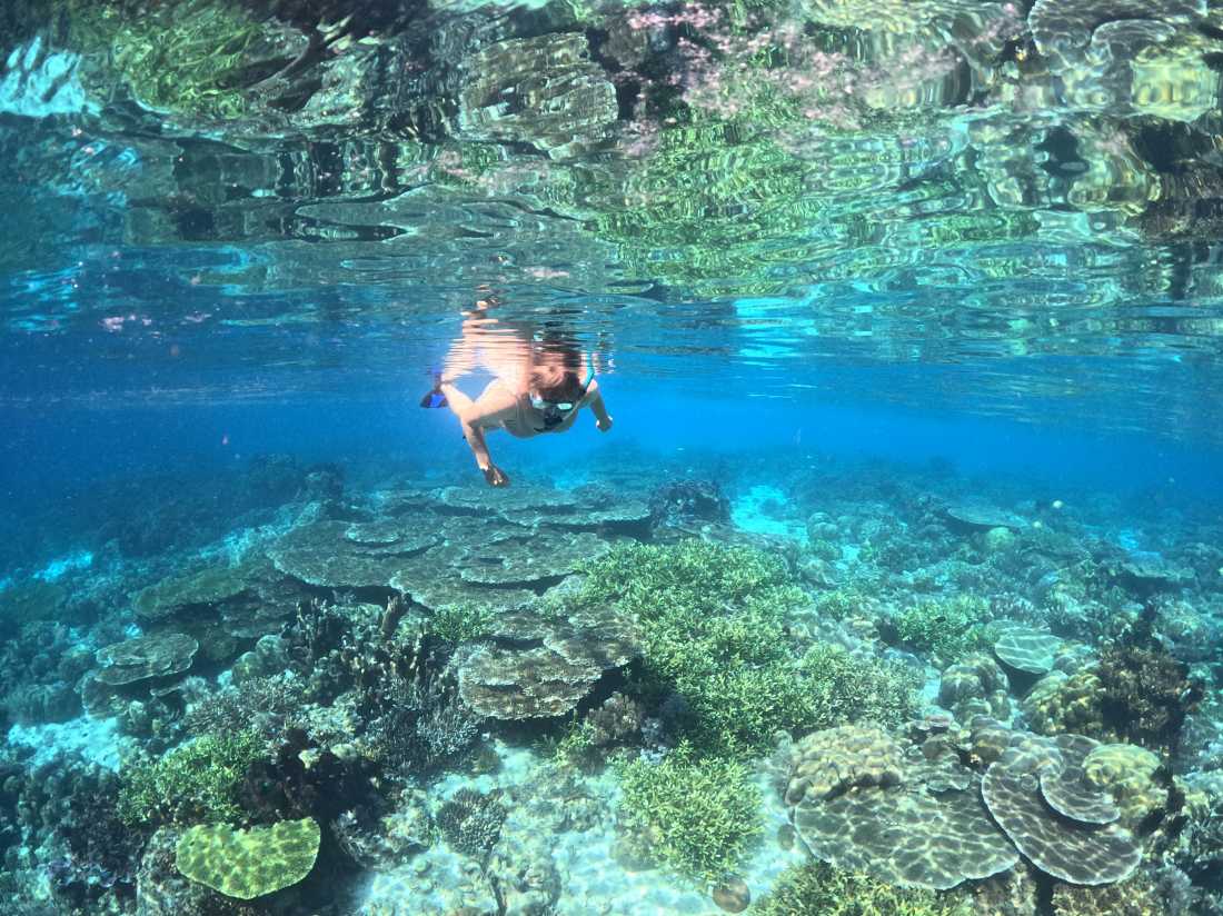 Snorkelling the pristine coral gardens of Raja Ampat