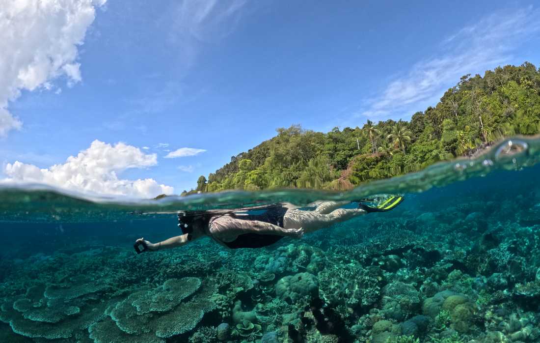 Snorkelling the pristine coral gardens of Raja Ampat