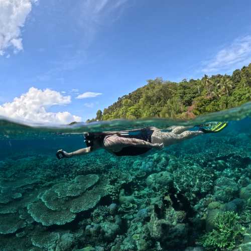 Snorkelling the pristine coral gardens of Raja Ampat