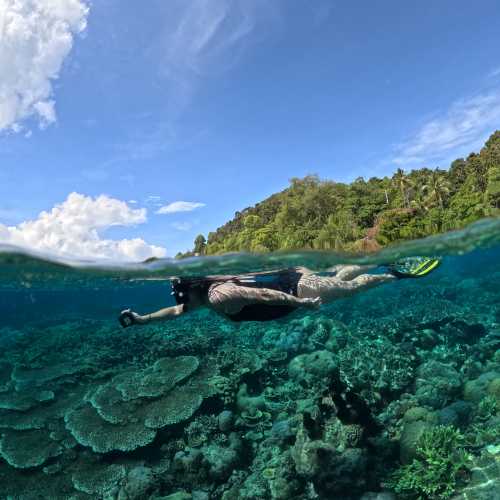 Snorkelling the pristine coral gardens of Raja Ampat