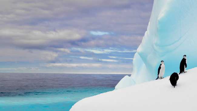 The colours of Antarctica