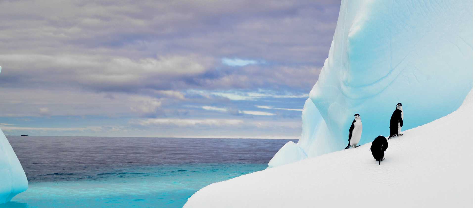 The colours of Antarctica