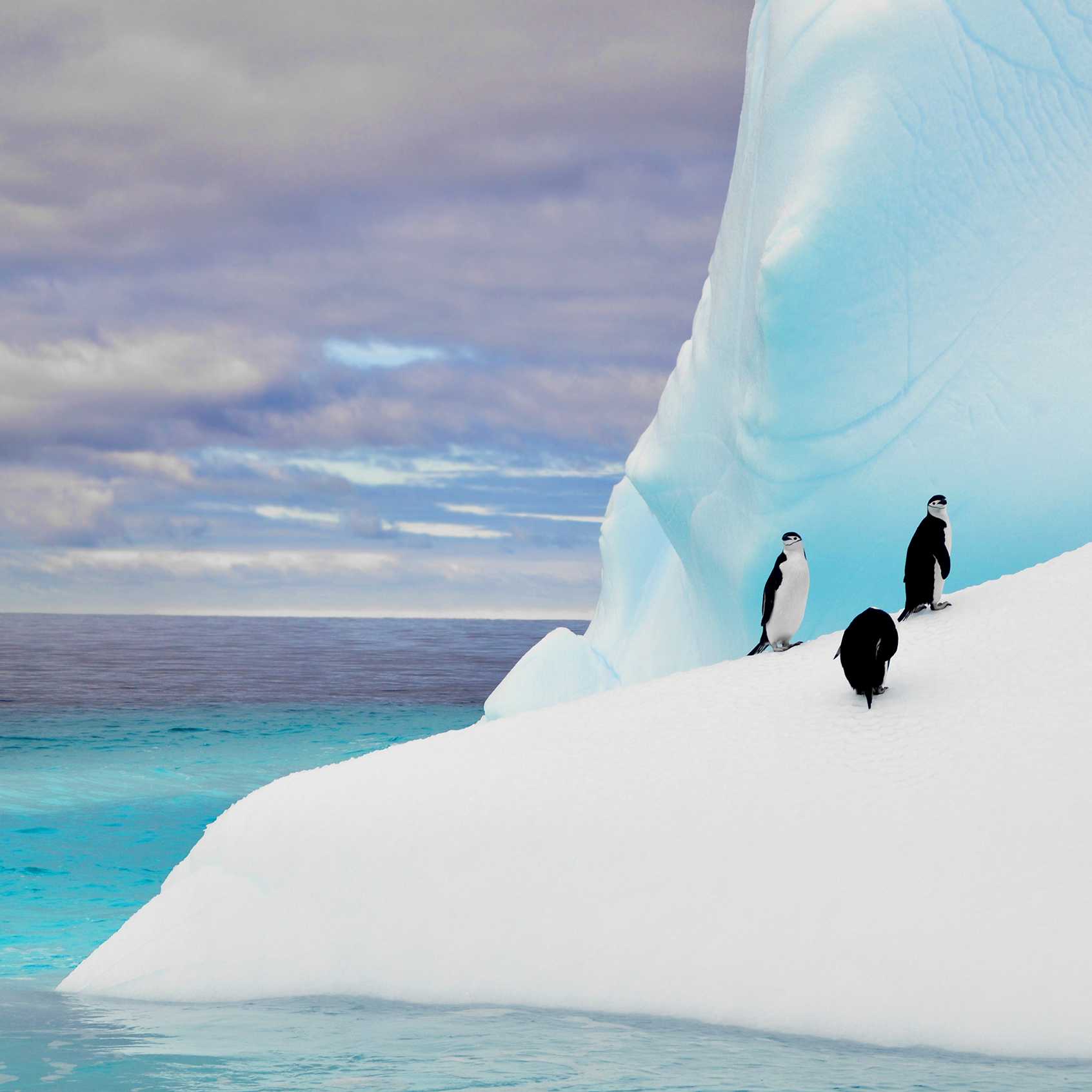 The colours of Antarctica