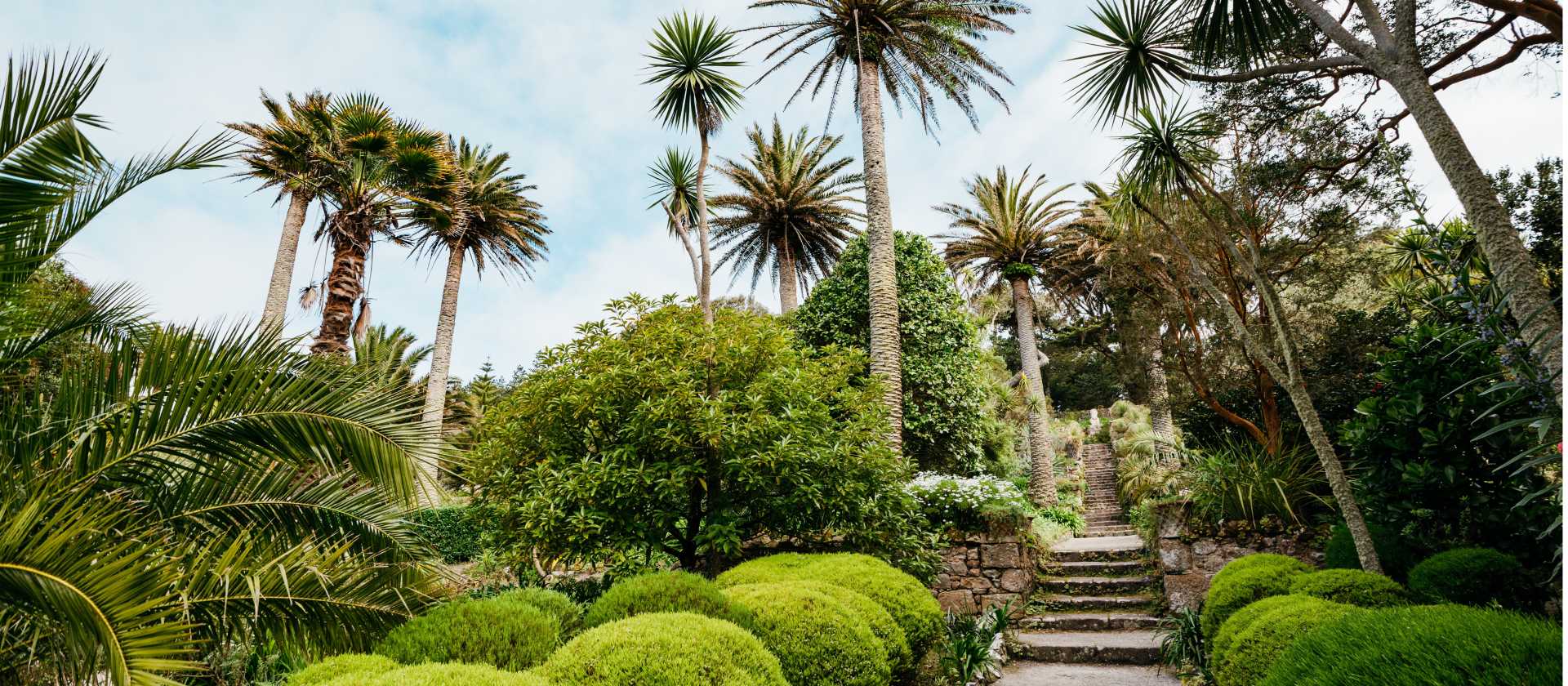 Abbey Gardens, Isles of Scilly