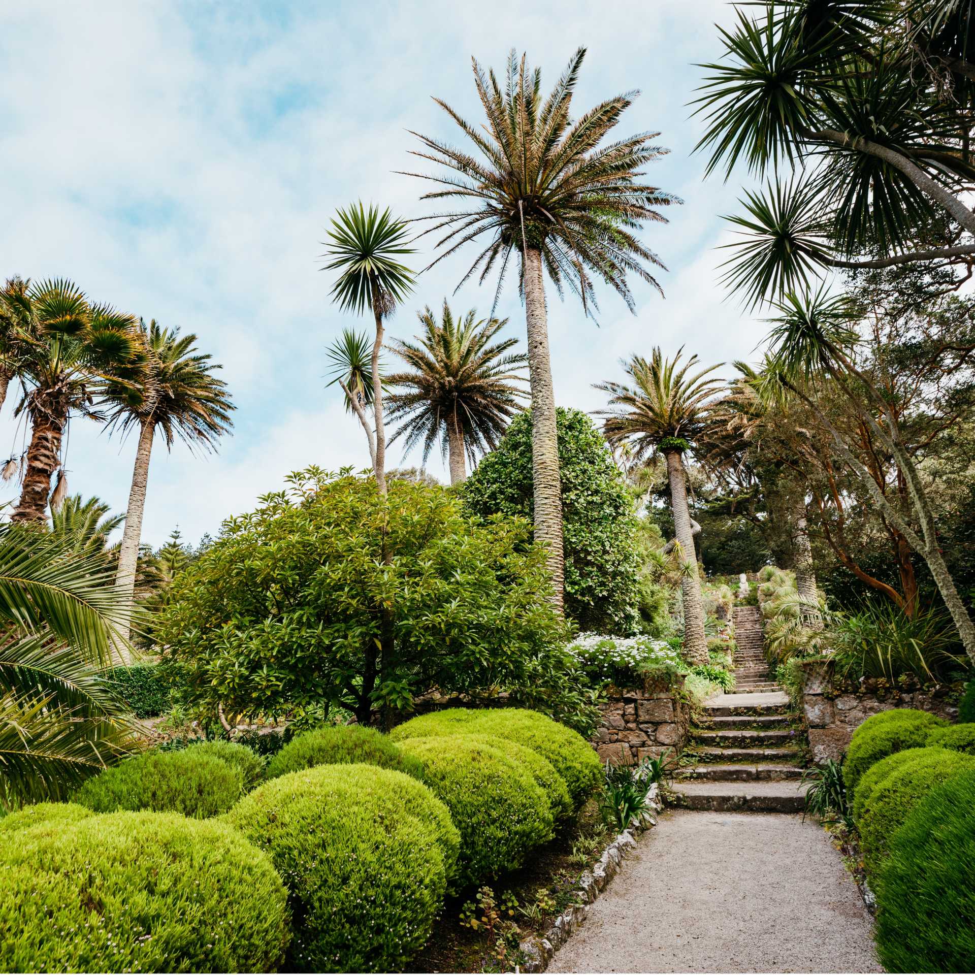 Abbey Gardens, Isles of Scilly