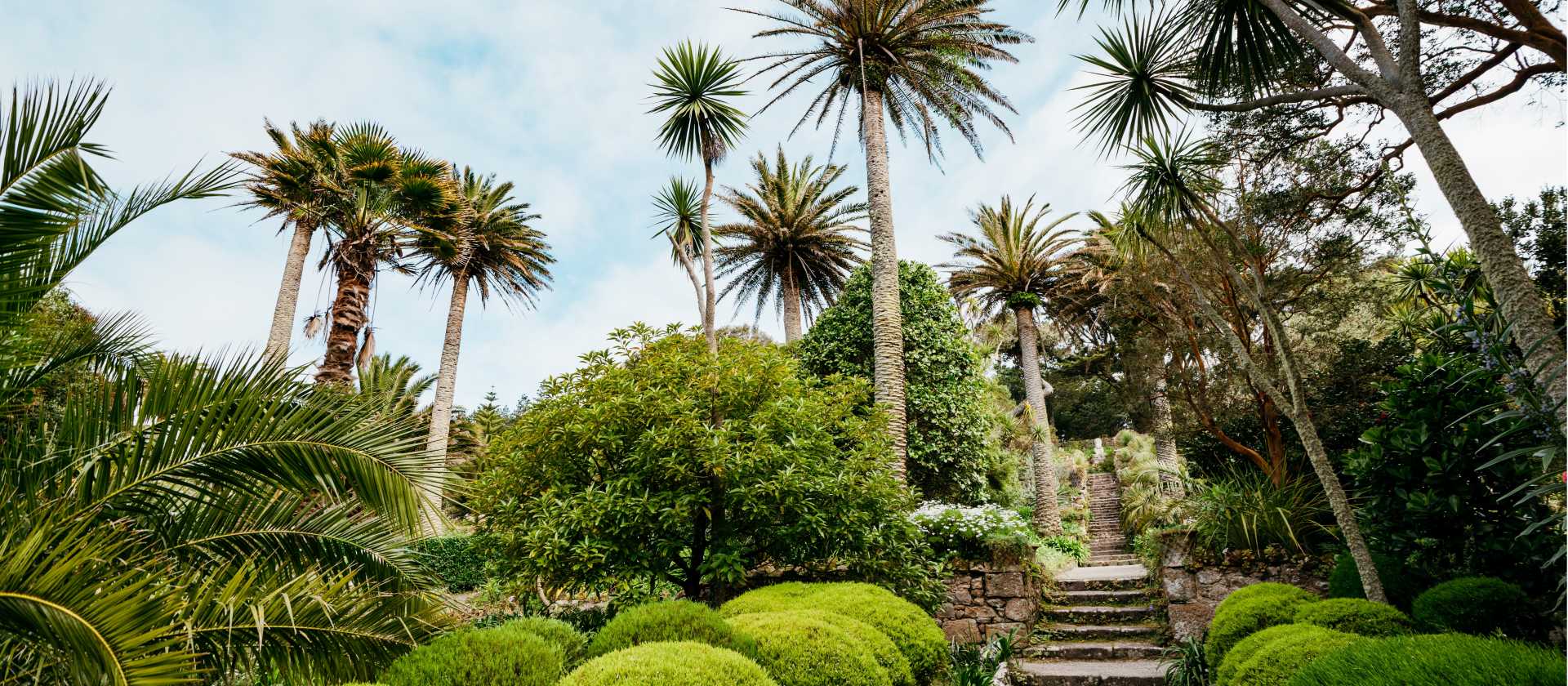 Abbey Gardens, Isles of Scilly