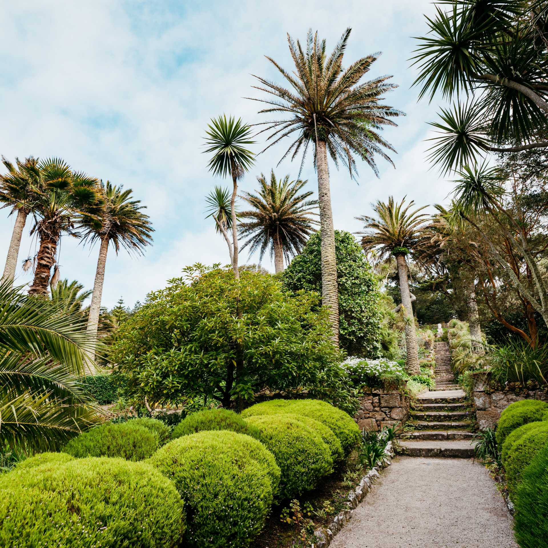 Abbey Gardens, Isles of Scilly