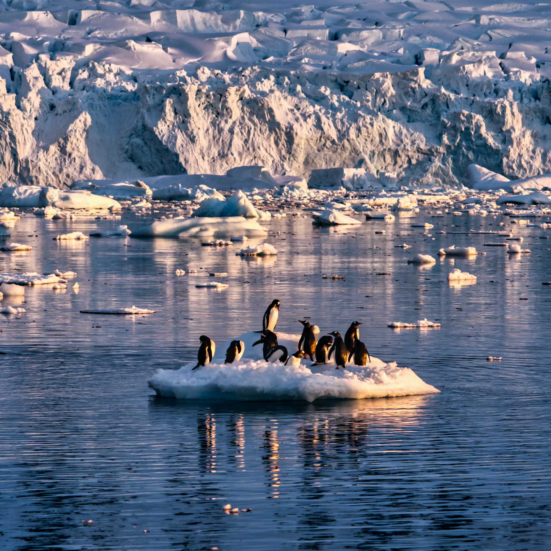 The beauty of the vast Antarctic landscape