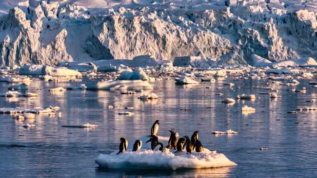 The beauty of the vast Antarctic landscape