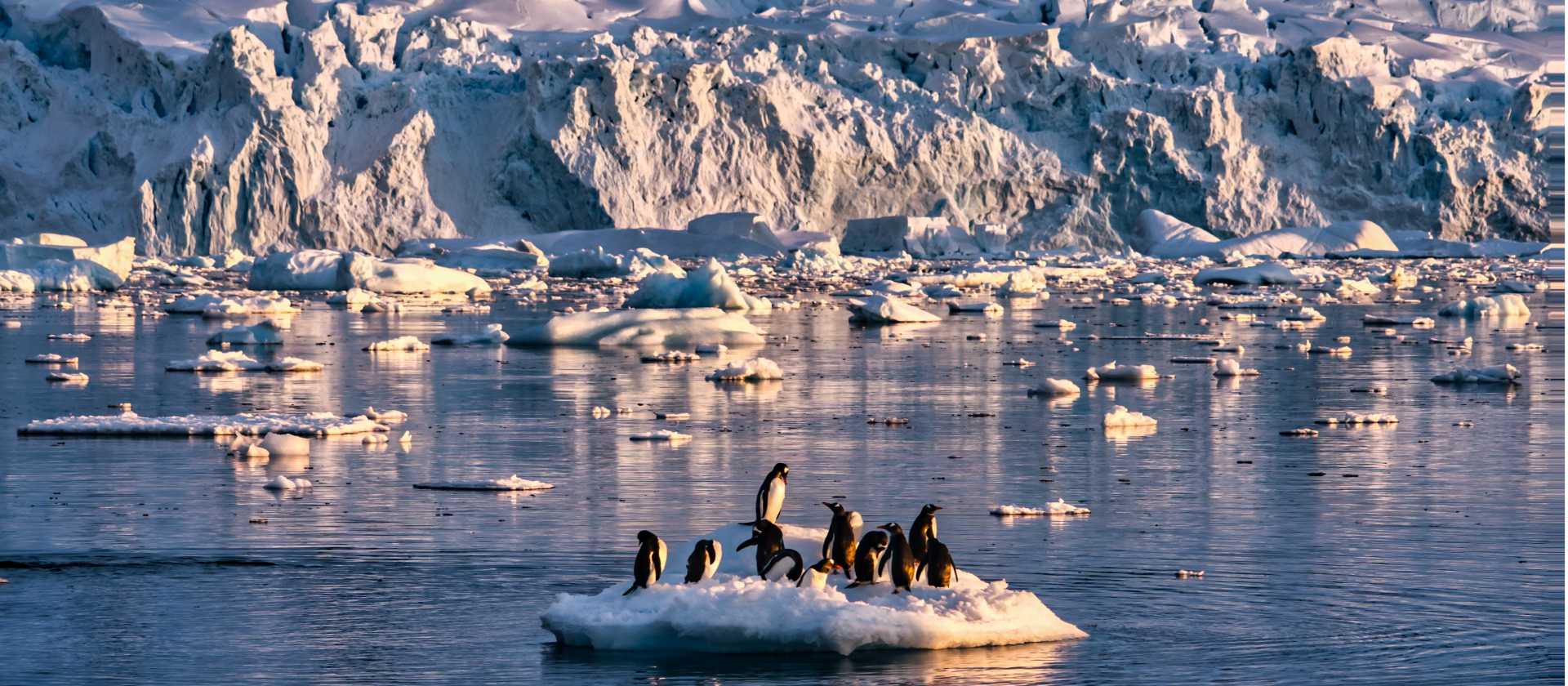 The beauty of the vast Antarctic landscape