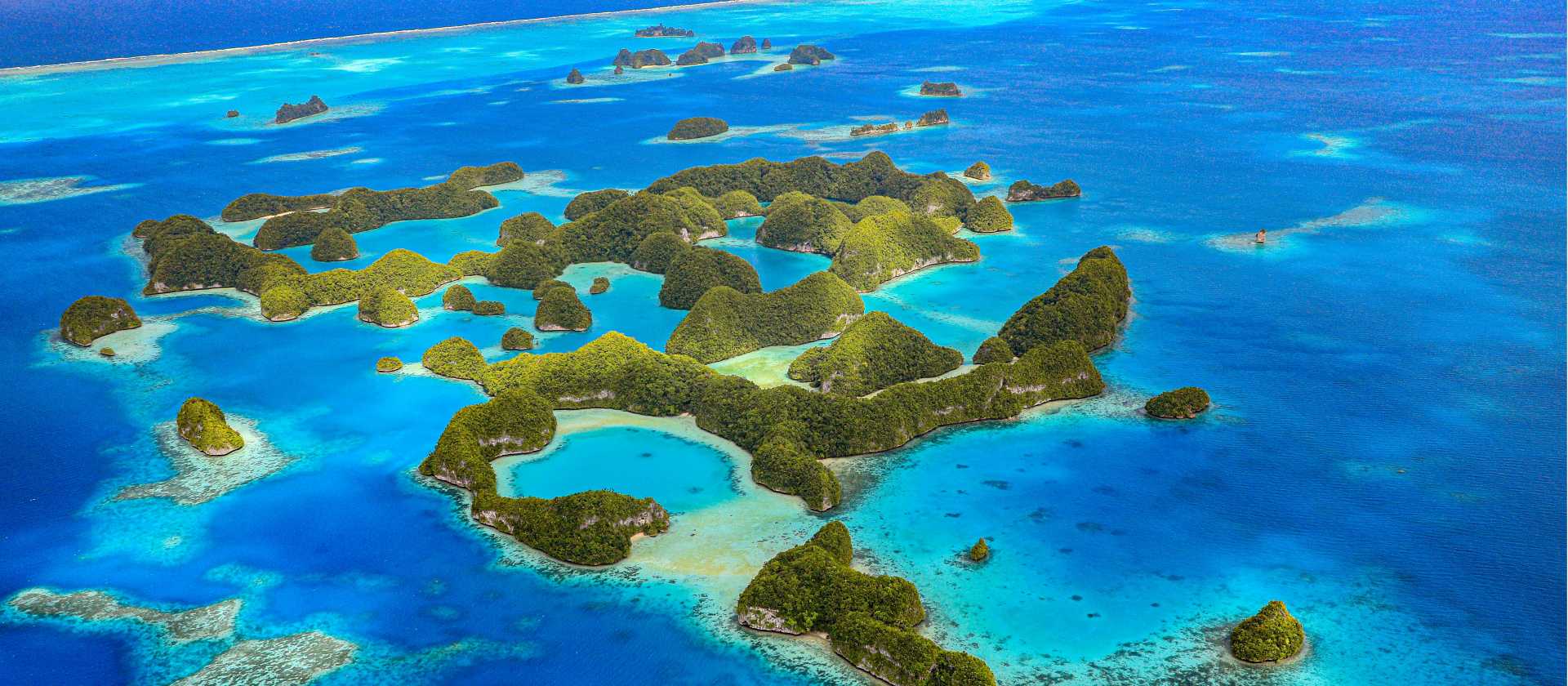 A myriad of colour awaits in Palau