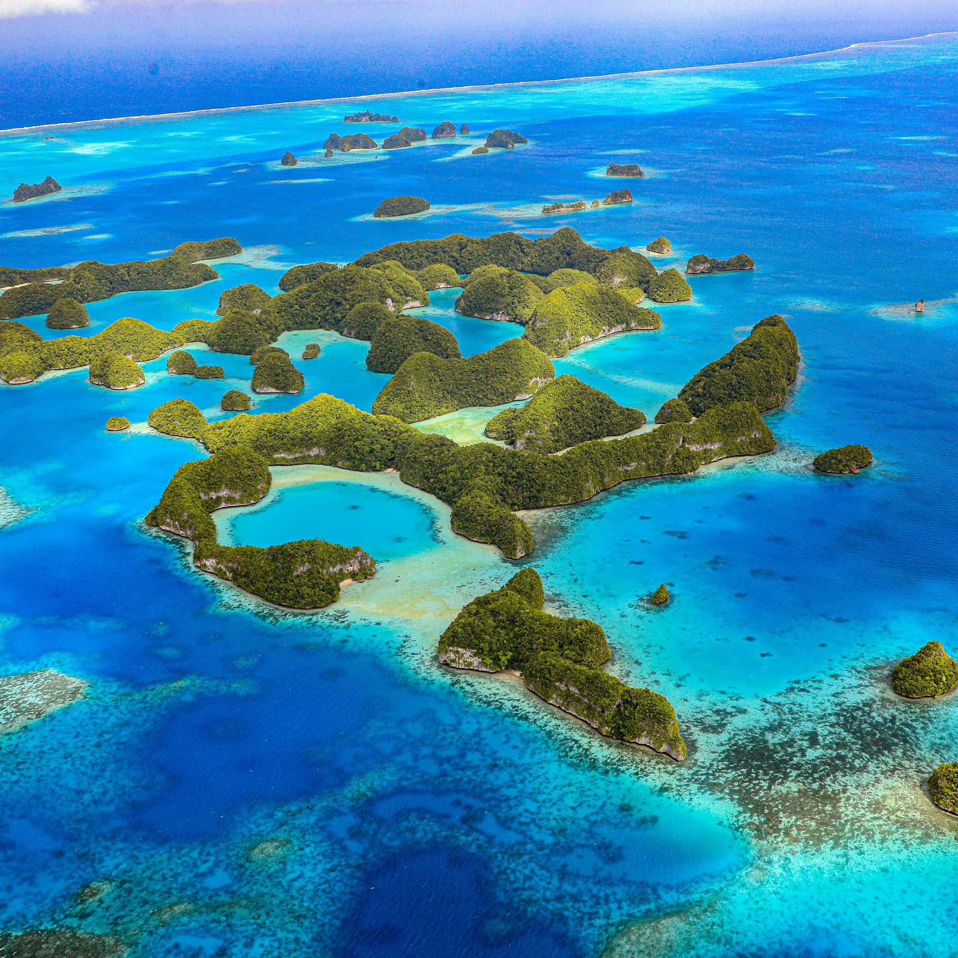 A myriad of colour awaits in Palau