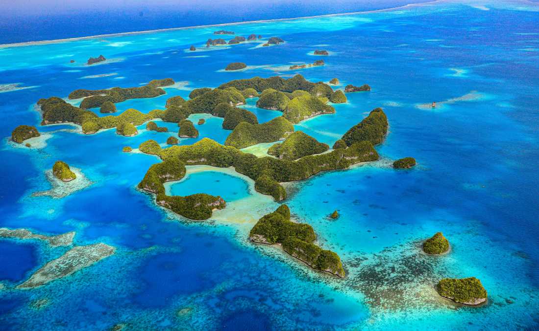 A myriad of colour awaits in Palau