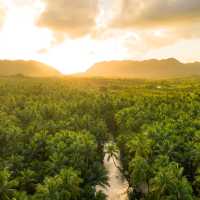 The mighty Amazon rainforest