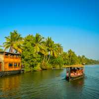 Cruise the stunning Kerala Backwaters in comfort