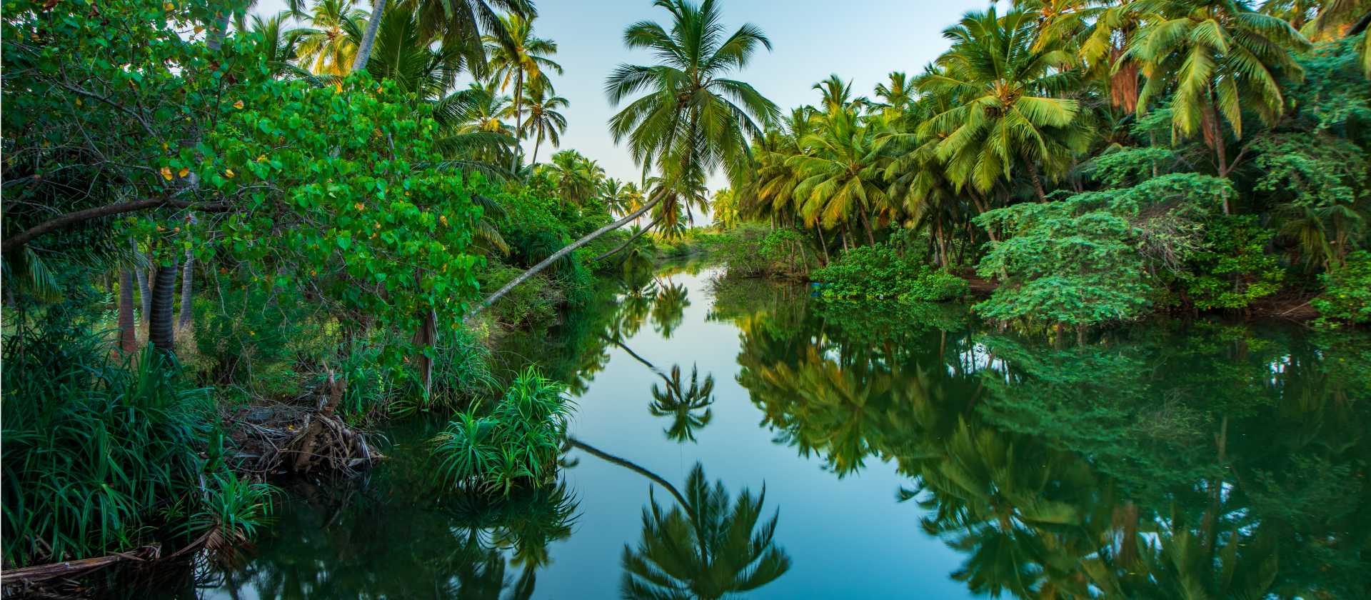 The serenity of Kerala's backwaters