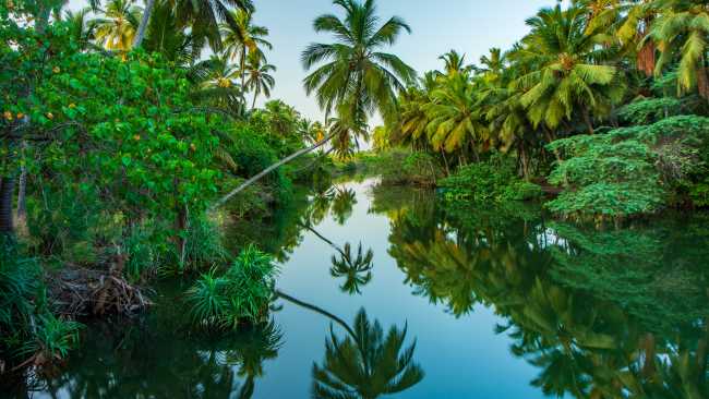 The serenity of Kerala's backwaters