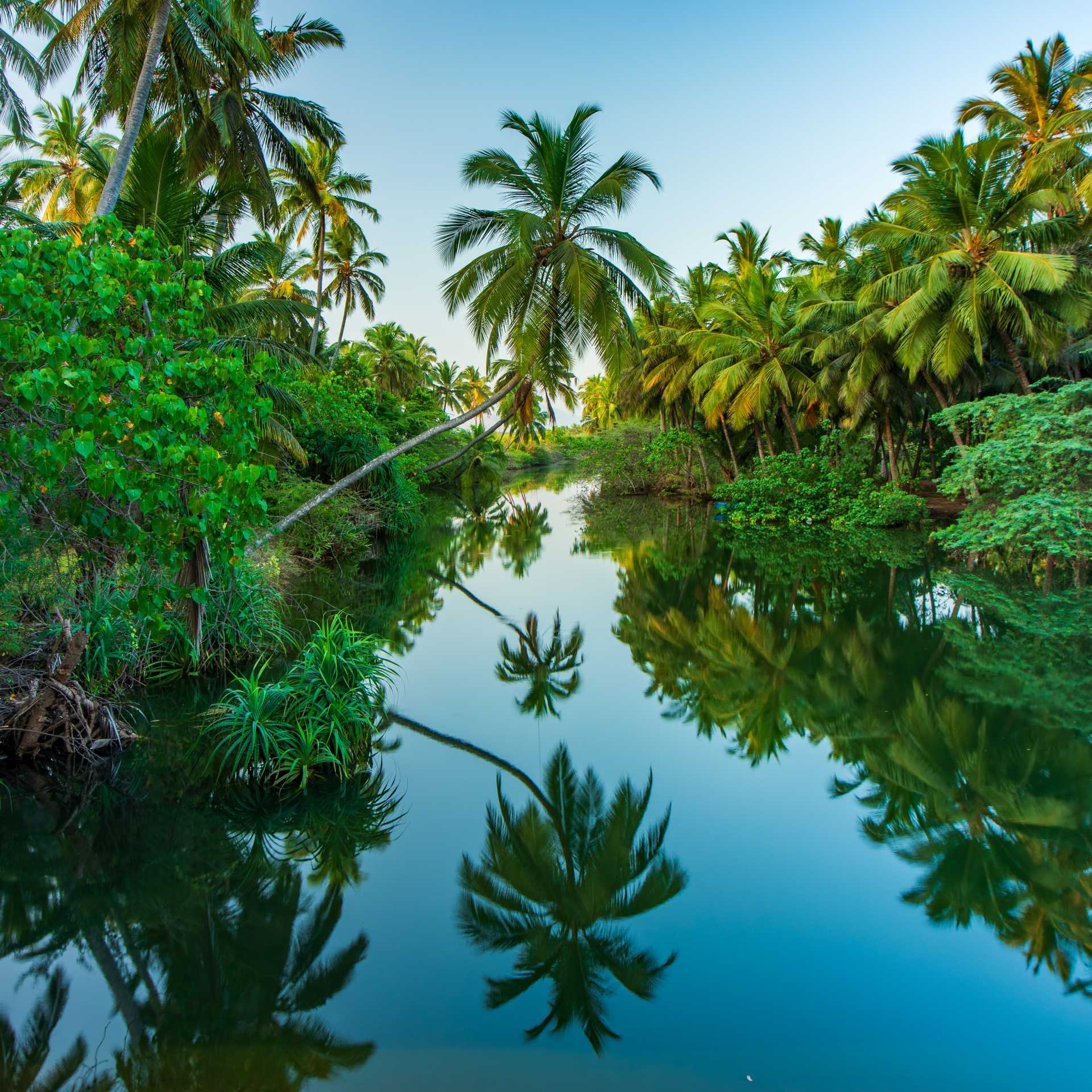The serenity of Kerala's backwaters