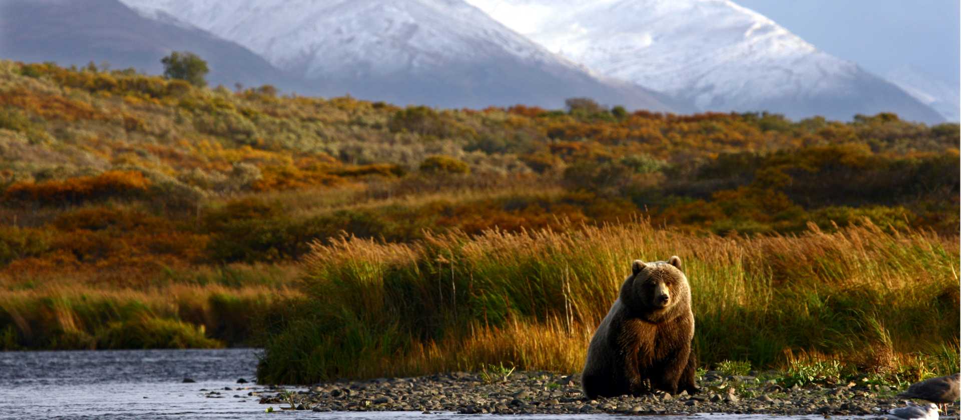 Kodiak Island, Alaska - one of the world’s last truly wild frontiers
