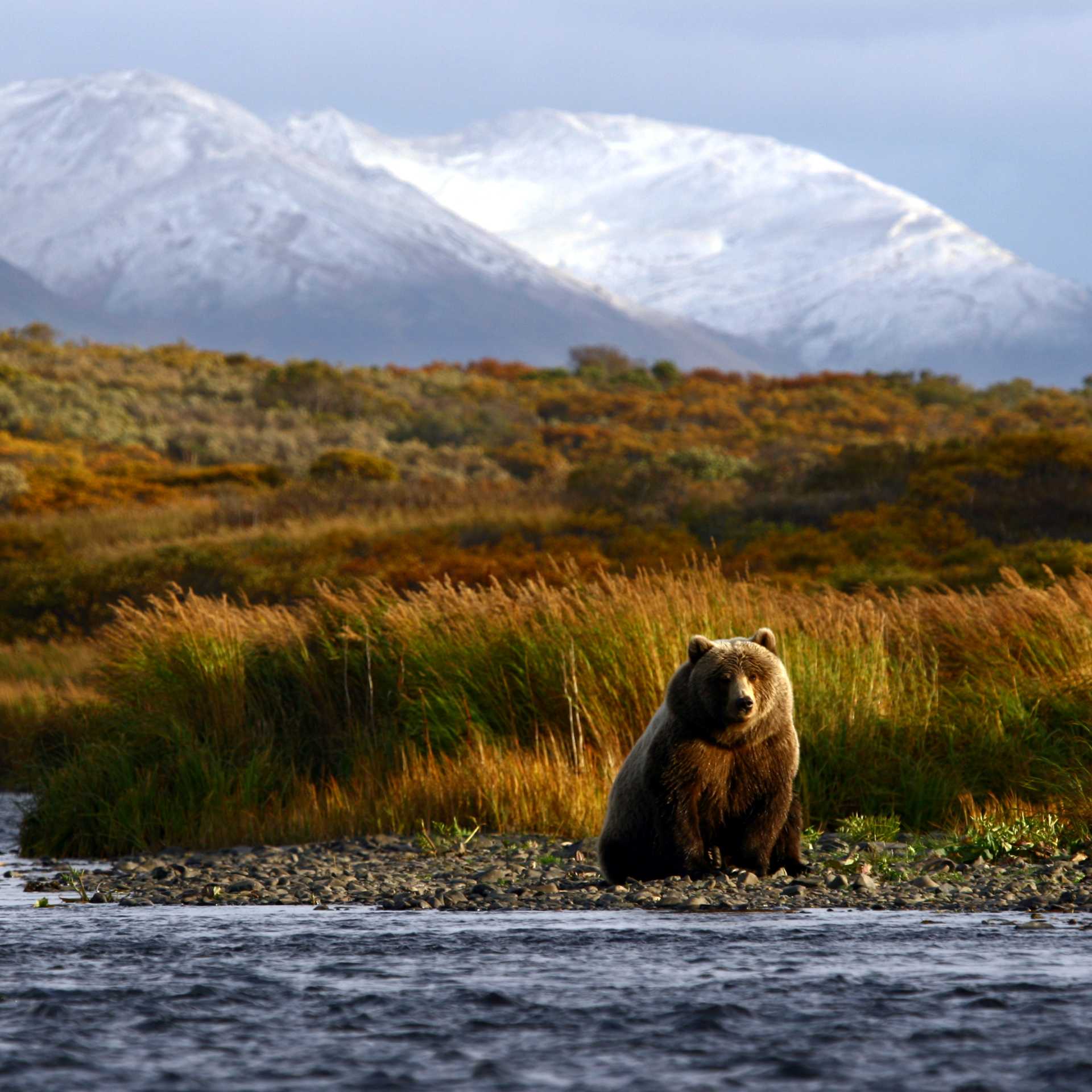 Kodiak Island, Alaska - one of the world’s last truly wild frontiers