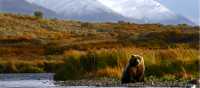 Kodiak Island, Alaska - one of the world’s last truly wild frontiers
